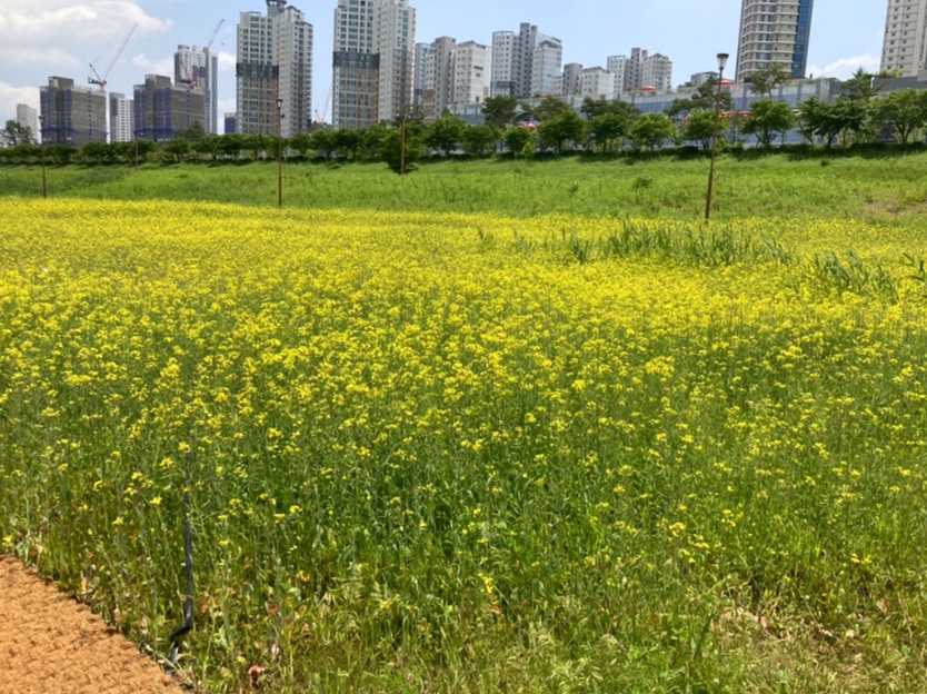 스토니페이퍼 이미지