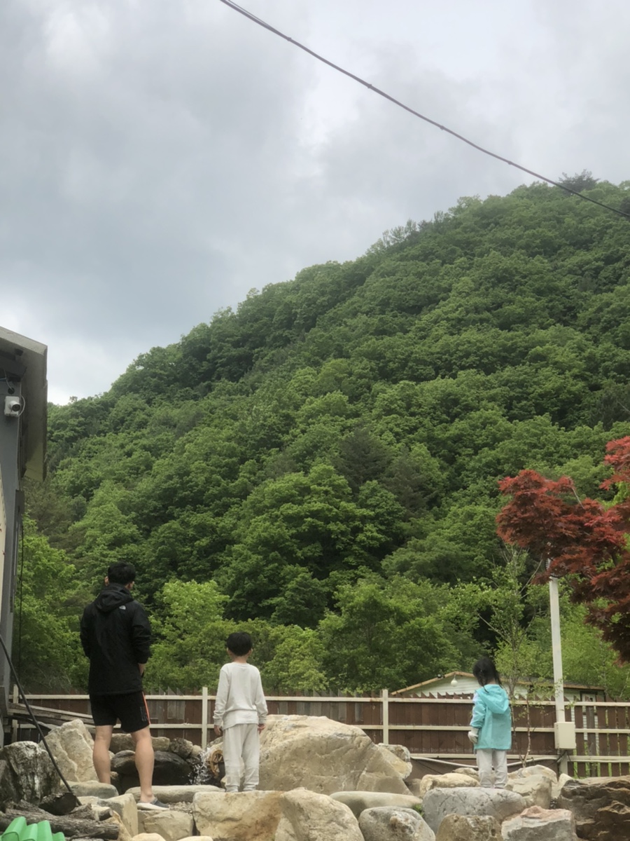 화기애애단풍캠핑장 이미지