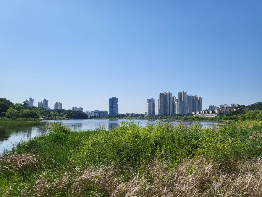 고당 팜 베이커리 이미지