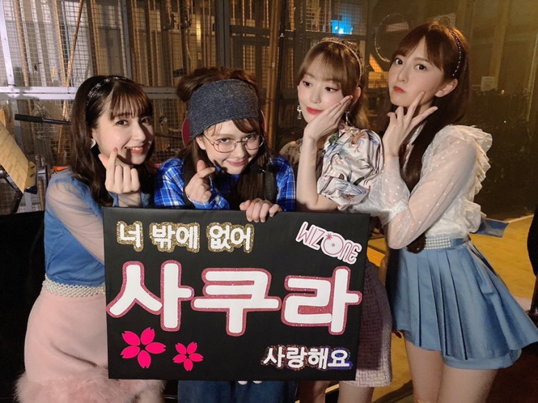 사쿠라 이미지