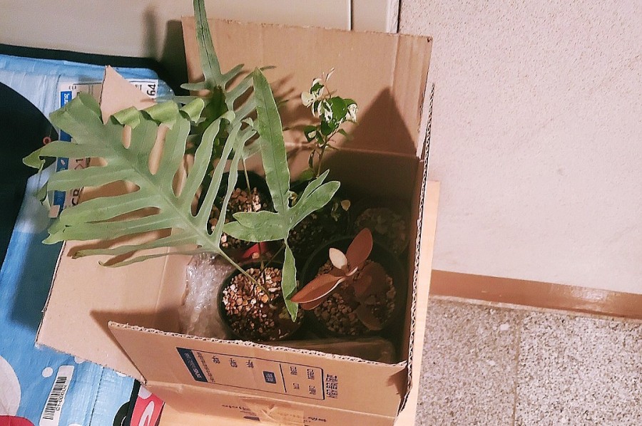 김가네송정점 이미지
