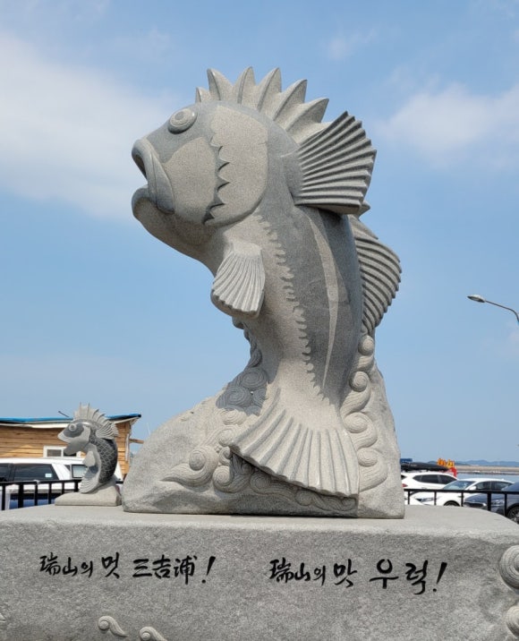 회뜨는바다 이미지