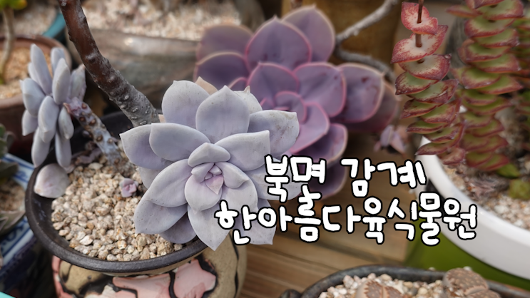 한아름식물원 이미지