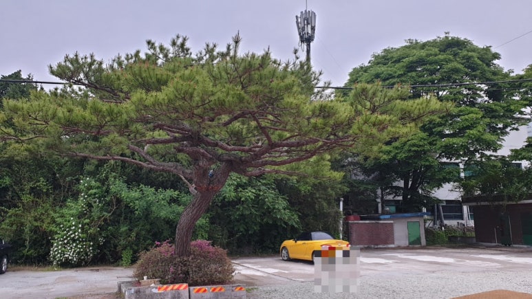 청기와한정식 이미지