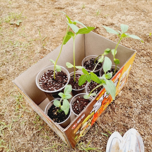 젊음의광장매점 이미지
