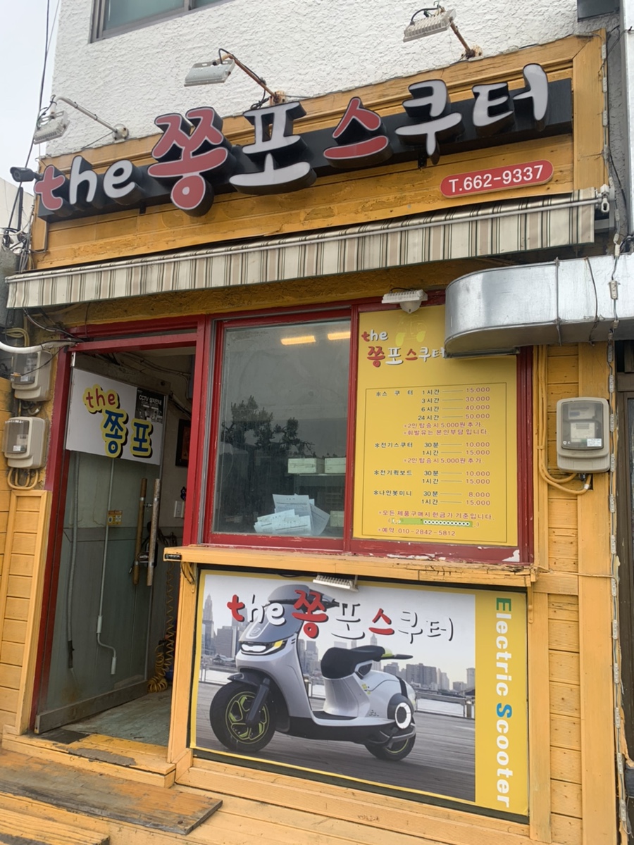 the 쫑포 이미지