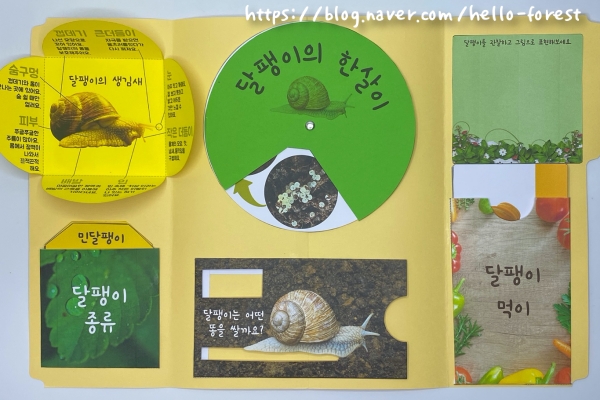 달팽이숲 이미지