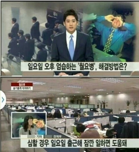 법률사무소율 이미지