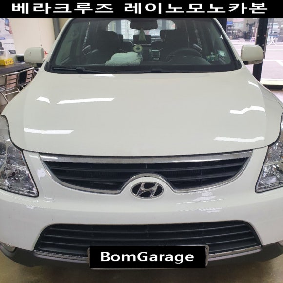 봄게러지 이미지