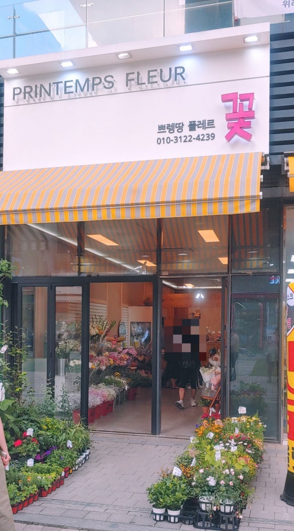 쁘렝땅플레르 이미지