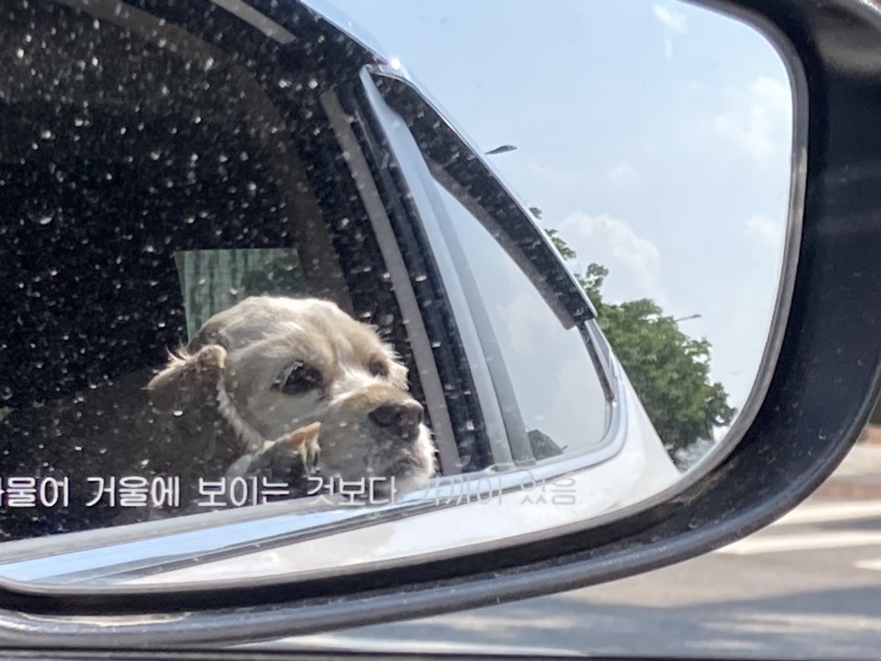 행운게임랜드 이미지
