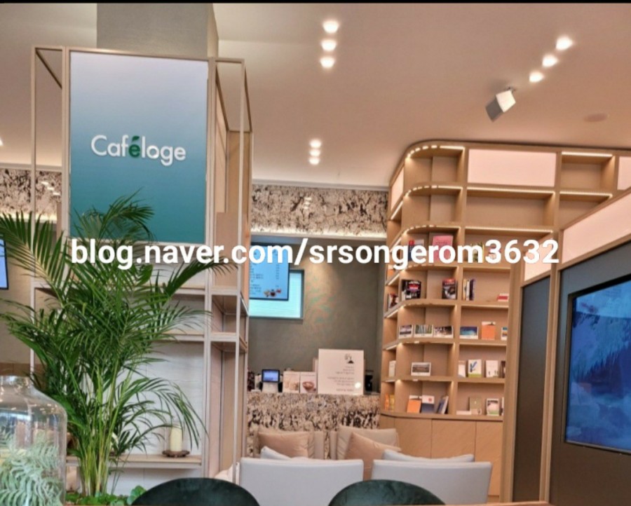 이롬플러스카페로쥬강남 이미지