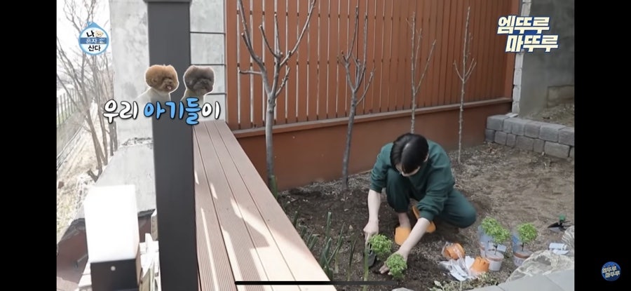 태민인테리어 이미지