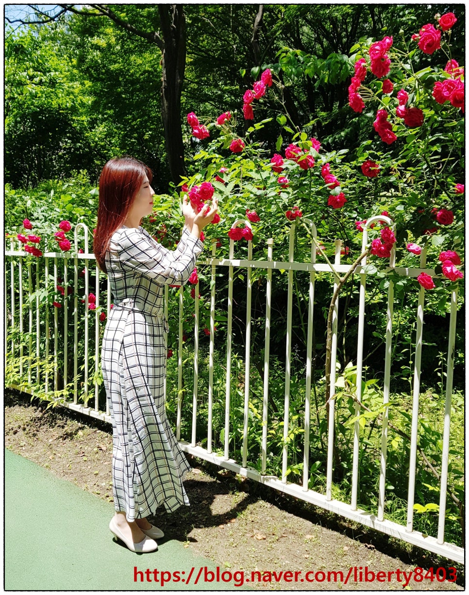 리스테이트 이미지