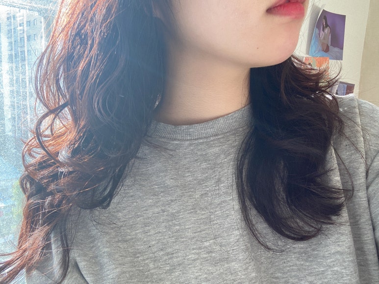 람스헤어 이미지
