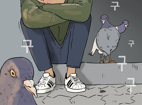 팔롬비니 이미지
