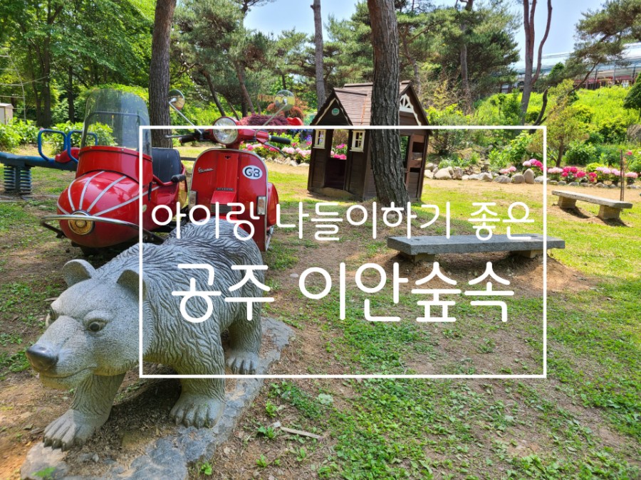 이안카라반 이미지