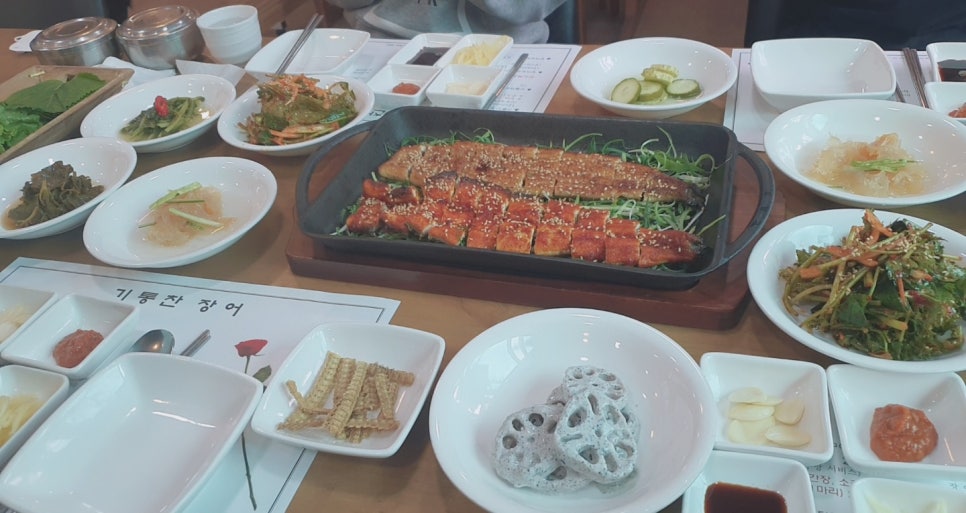 기통찬장어 이미지