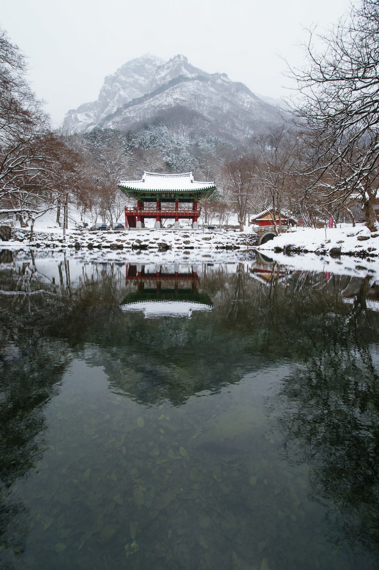 청호물산 이미지