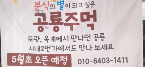 공룡주먹 이미지
