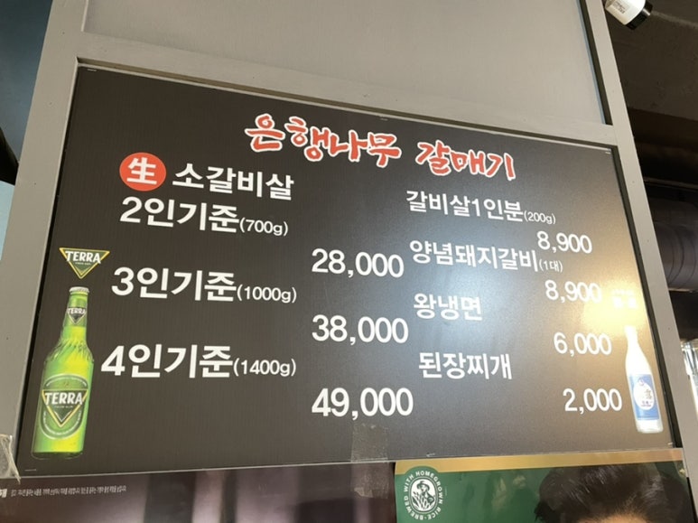 은행나무갈매기 이미지