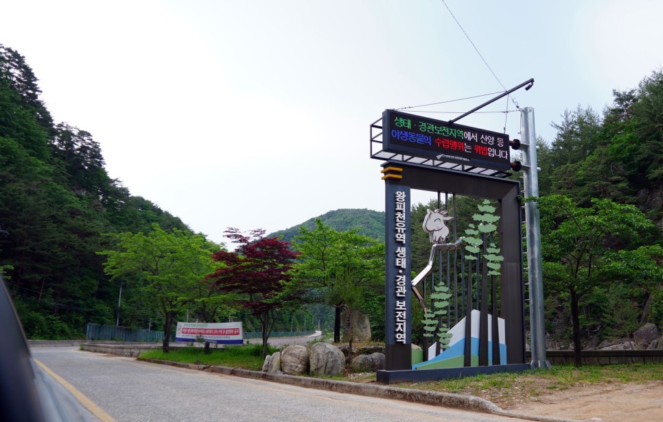 왕피천공원사업소 이미지