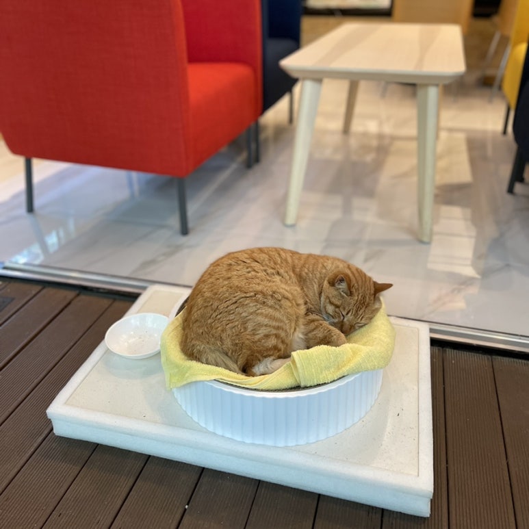 마노아분식 이미지