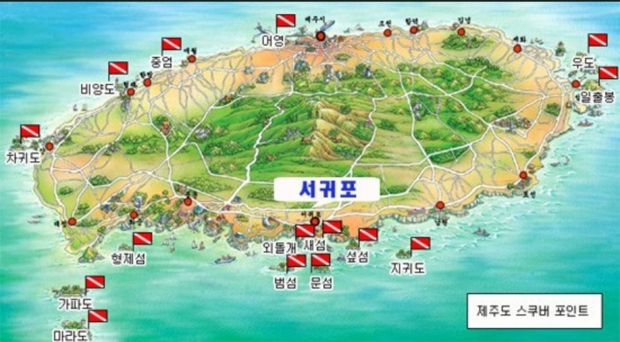 다이브플렉스 이미지