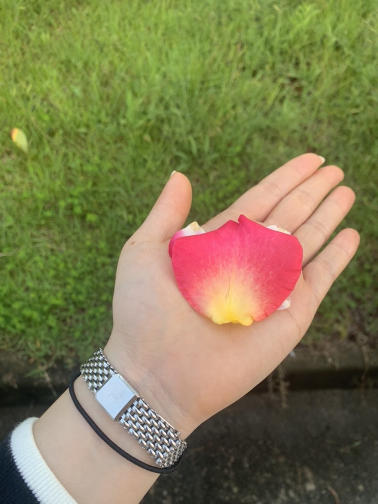 장미면옥 이미지