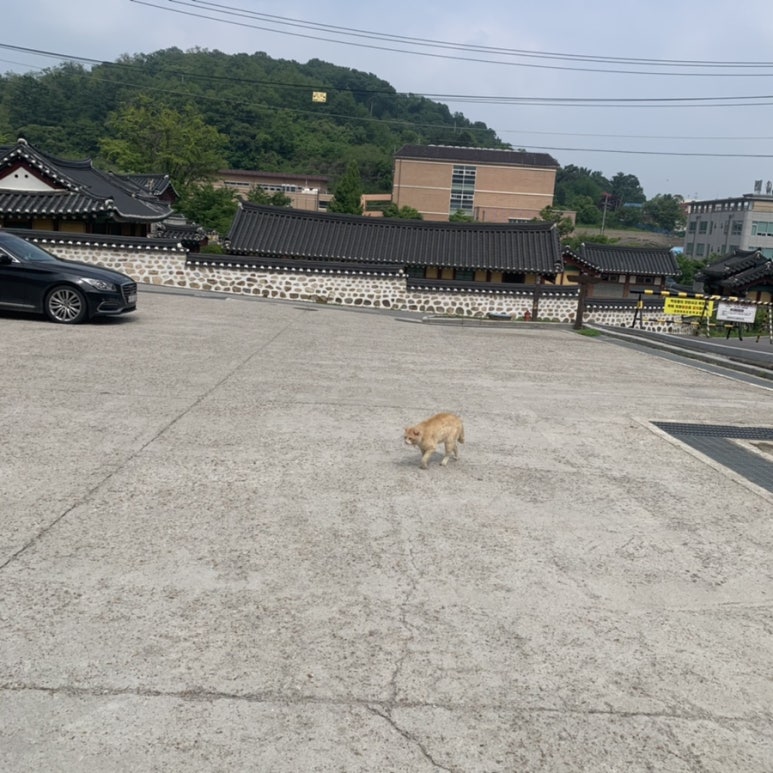 스터딥스터디카페 이미지