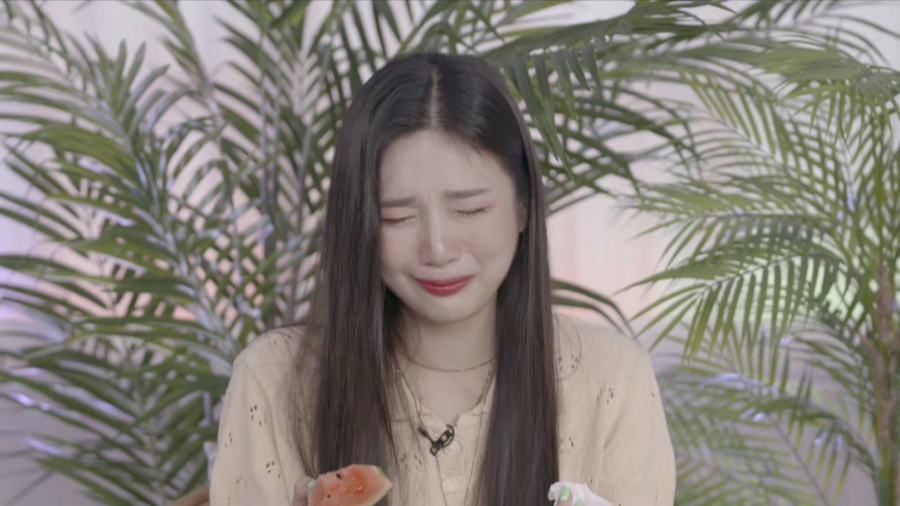 조이노래 이미지