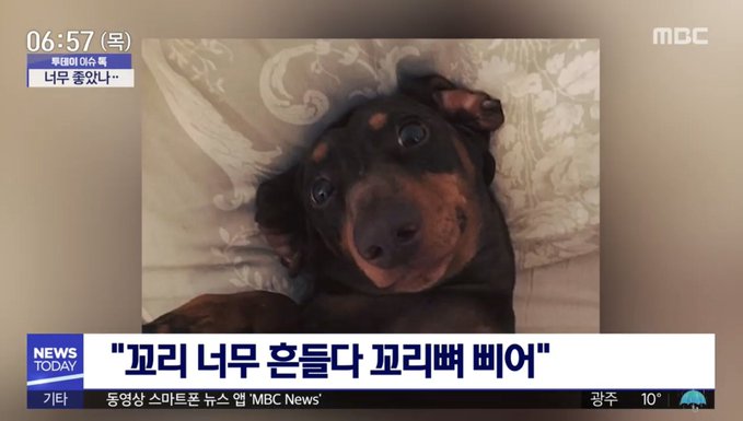 밈밈 이미지