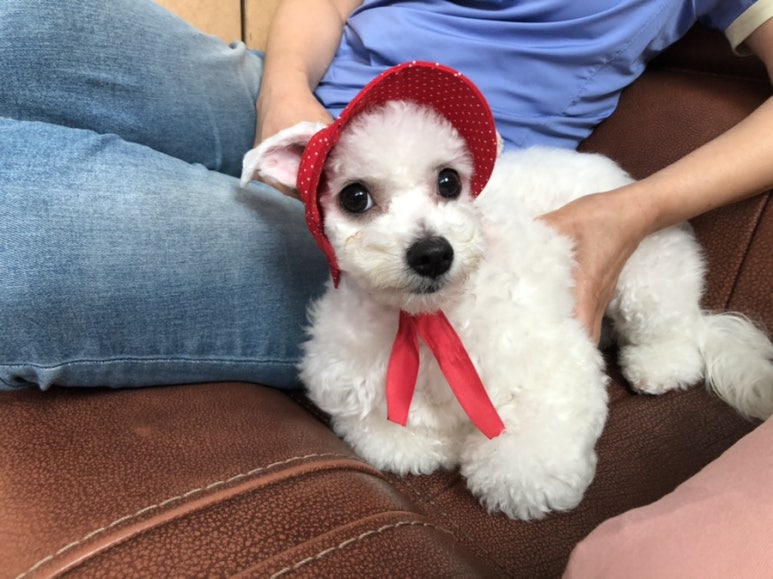 스토리카페소소 이미지