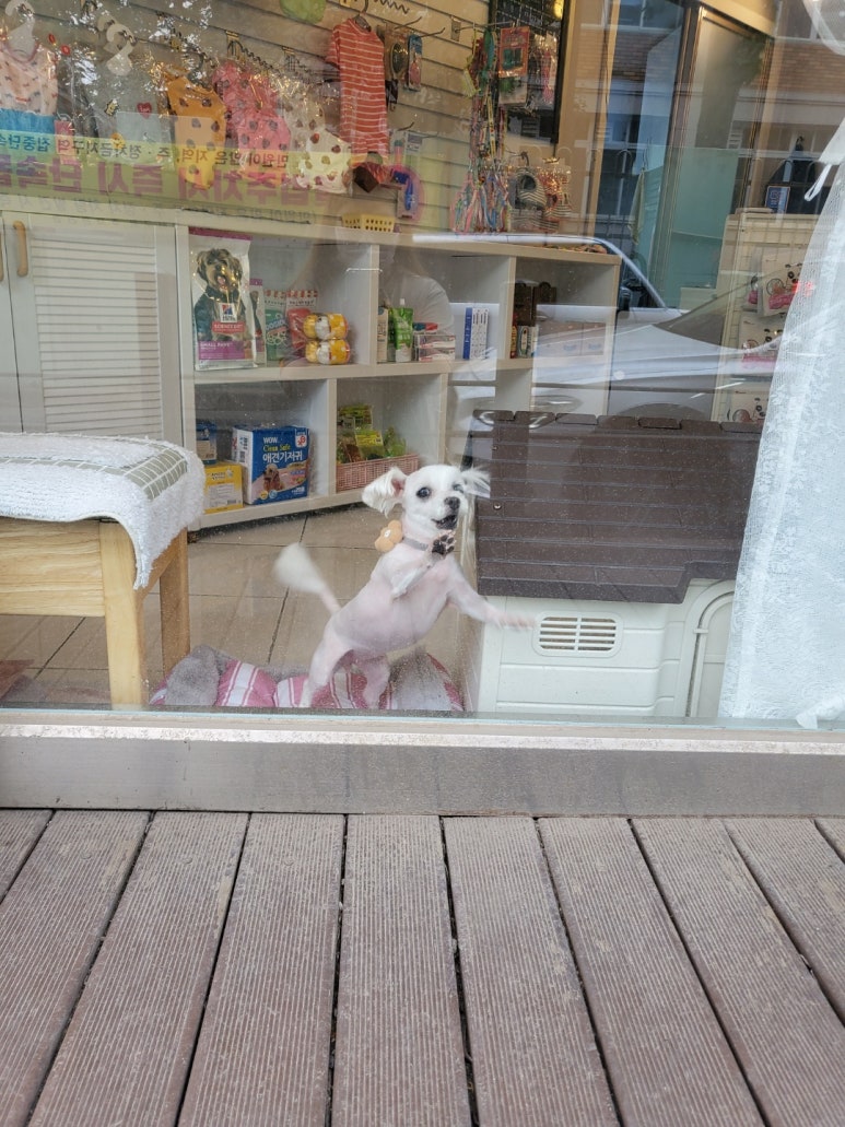 국대우동 이미지