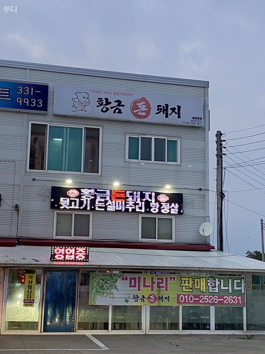 황금돈돼지 이미지