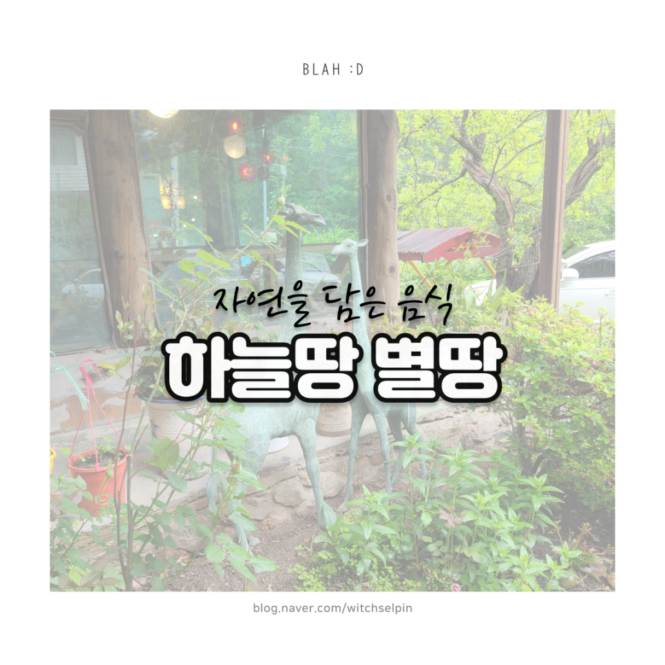바다숲 풀내음 이미지
