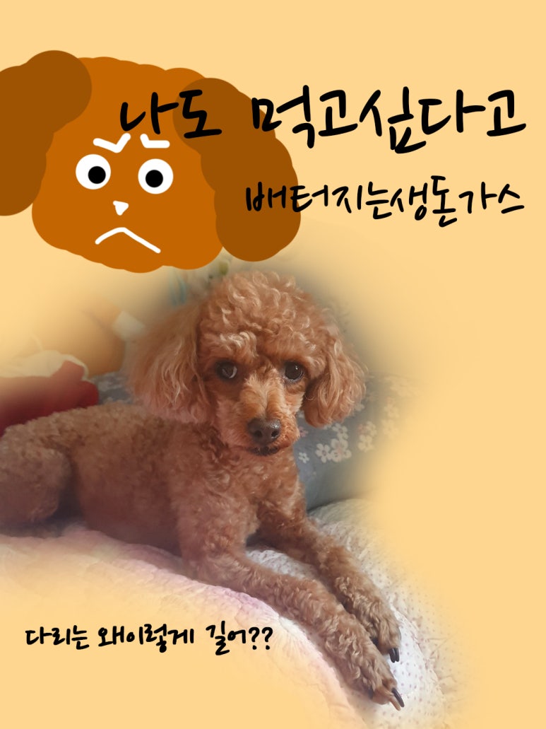 배터지는 생돈가스 이미지