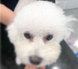 미담상담센터 이미지