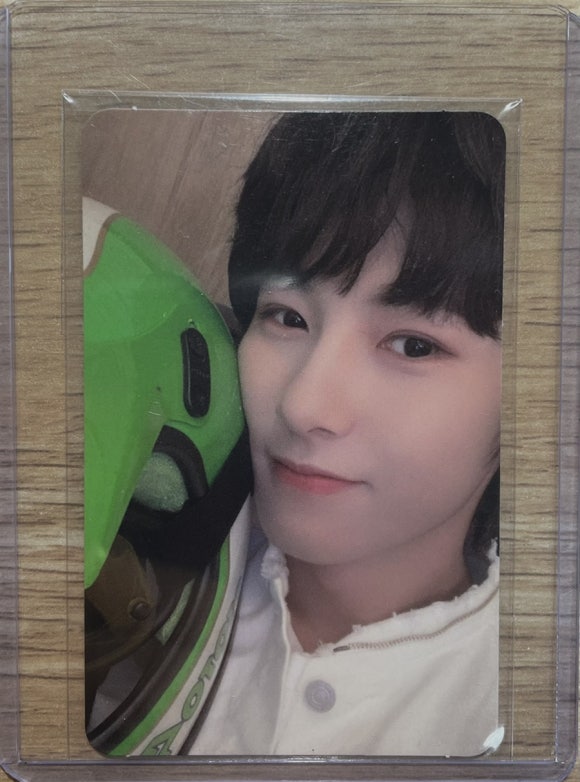 박디 이미지