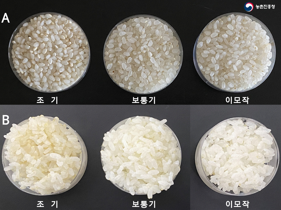 미호편의점 이미지