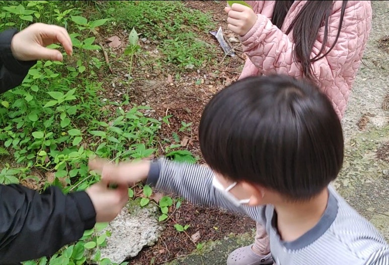 마운틴캠핑장 이미지
