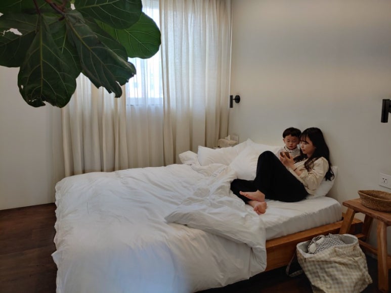 제제감성 이미지