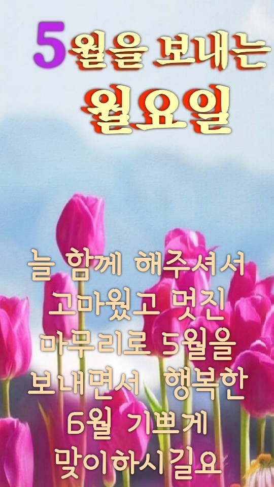 장미미니슈퍼 이미지