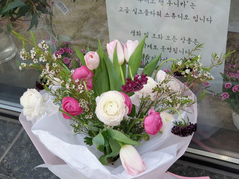 우니코앤우니카 이미지