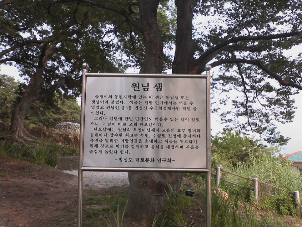 숲쟁이 이미지