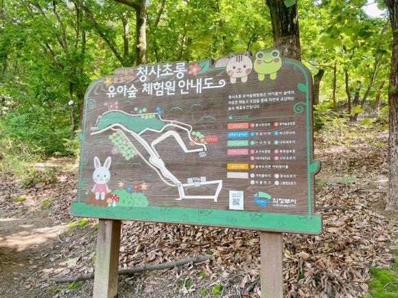 청사초롱 유아숲체험원 이미지