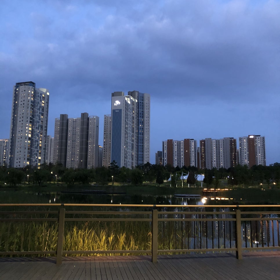 전라카센타 이미지
