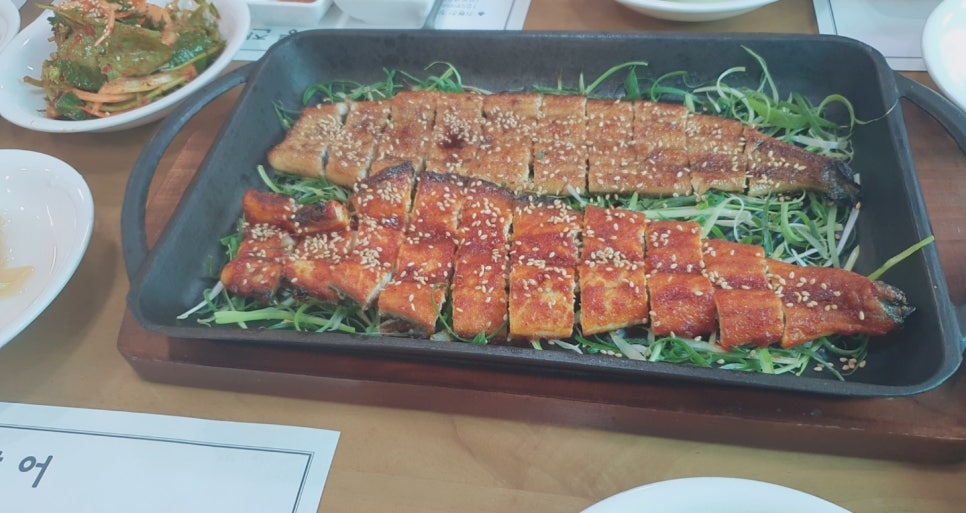 기통찬장어 이미지