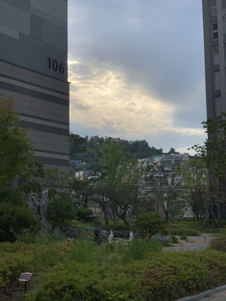 소윤조경 이미지