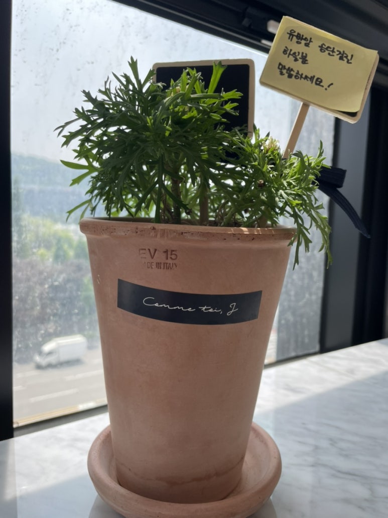 W여성외과 이미지